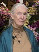 Jane Goodall