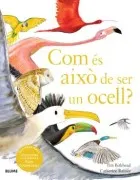 Com És Això De Ser Un Ocell?