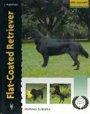 Flat-Coated Retriever