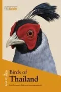 Birds Of Thailand