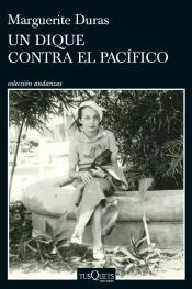 Un dique contra el Pacífico