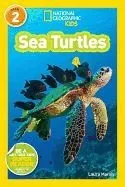Sea Turtles