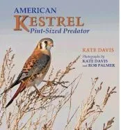 American Kestrel: Pint-Sized Predator