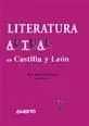 Literatura actual en Castilla y León