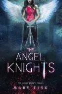 The Angel Knights