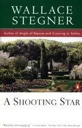 A Shooting Star