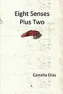 Eight Senses Plus Two