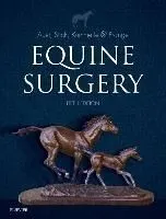 EQUINE SURGERY