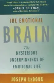 The Emotional Brain: The Mysterious Underpinnings of Emotional Life