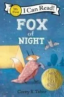 Fox at Night