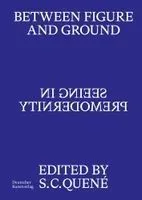 Between Figure and Ground: Seeing in Premodernity