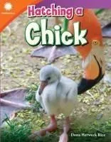 Hatching a Chick (Grade 2)