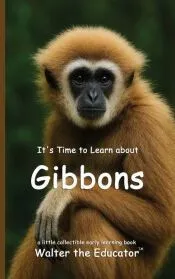 It’s Time to Learn about Gibbons