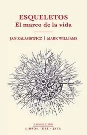 Esqueletos
