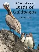 A Pocket Guide to Birds of Galápagos