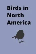 Birds in North America: Most common birds