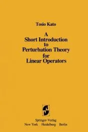 A Short Introduction to Perturbation Theory for Linear Operators