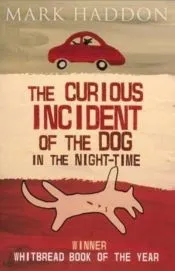 THE CURIOUS INCIDENT OF THE DOG IN THE NIGHT-TIME