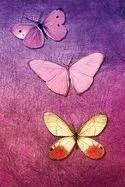 Butterfly Purple Collage Art Journal: Dotted Paper Notebook Diary, Dot Grid Planner, 6 X 9 120 Pages, Bujo Journal Organizer, Weekly and Monthly Journ