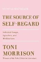 The Source of Self-Regard: Selected Essays, Speeches, and Meditations