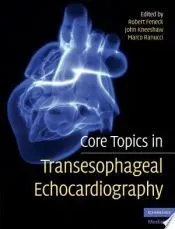 Core Topics in Transesophageal Echocardiography