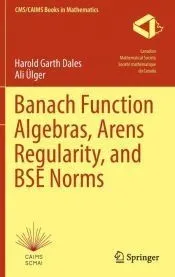 Banach Function Algebras, Arens Regularity, and BSE Norms