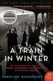 Train in Winter, A