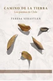Camino de la Tierra
