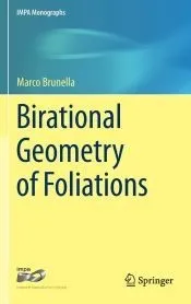 Birational Geometry of Foliations