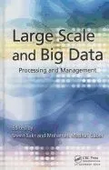 Large Scale and Big Data