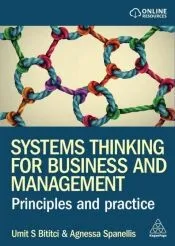 Systems Thinking for Business and Management