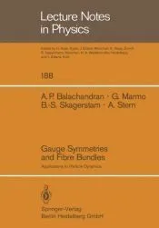 Gauge Symmetries and Fibre Bundles
