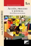 Accion Proceso Y Justicia