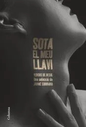 Sota el meu llavi