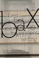 Best American Experimental Writing