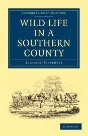 Wild Life in a Southern County