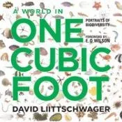 World in One Cubic Foot