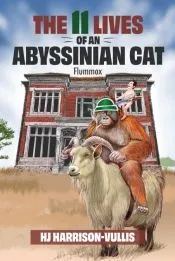 The 11 Lives of an Abyssinian Cat