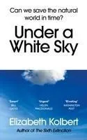 Under a White Sky