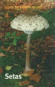 Guía Campo Setas