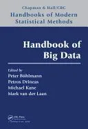 Handbook of Big Data