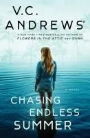 Chasing Endless Summer
