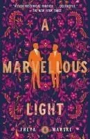 A Marvellous Light