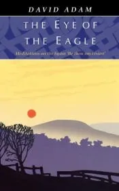 Eye of the Eagle, The - Meditations on the Hymn ’Be Thou My Vision’