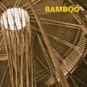 BAMBOO- ESPAÑOL