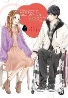 Perfect World 10