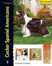 Cocker Spaniel Americano (Excellence)