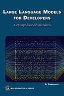 Large Language Models for Developers: A Prompt-Based Exploration of Llms