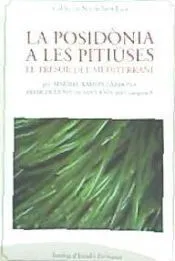 La posidònia a les Pitiüses