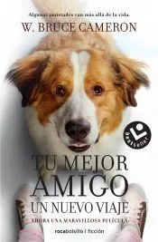 La razón de estar contigo. Un nuevo viaje